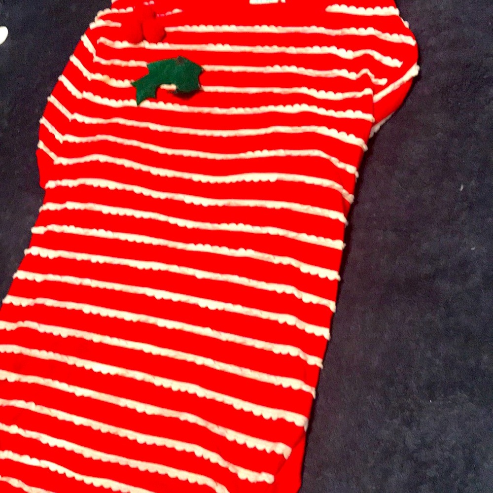 XXL pet holiday Tee Shirt